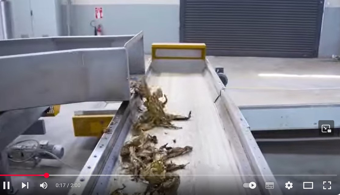 MAF TOBACCO FACTORY PROMOTION VIDEO